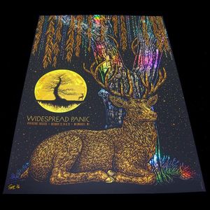 Widespread Panic Milwaukee 2015