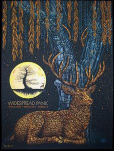 Widespread Panic Milwaukee 2015