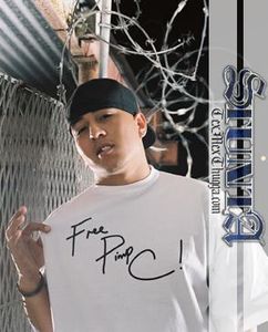 Stunta