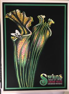 Swans Albuquerque 2016
