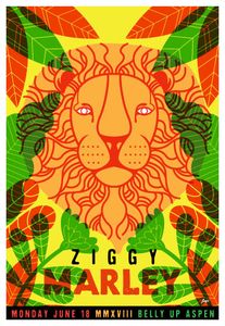 Ziggy Marley Aspen 2018
