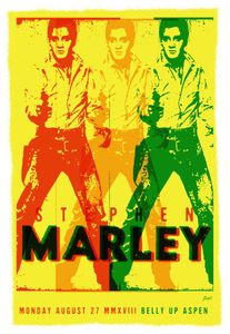 Stephen Marley Aspen 2018