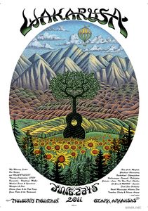 Wakarusa Festival 2011