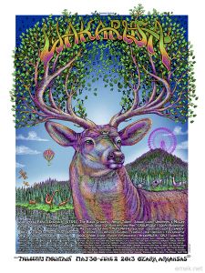 Wakarusa Festival 2013