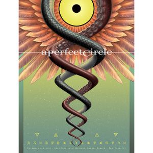 A Perfect Circle New York City 2018 (Show Edition)