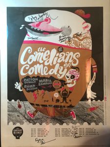 The Comedians of Comedy Tour 2007