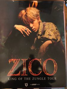 Zico - King of the Zungle Tour