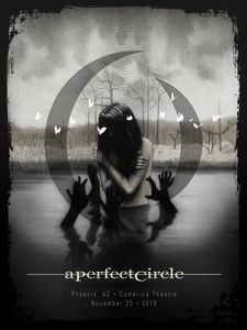 A Perfect Circle - Phoenix, 2018