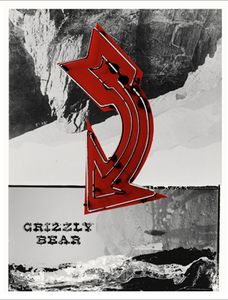 Grizzly Bear Austin 2009