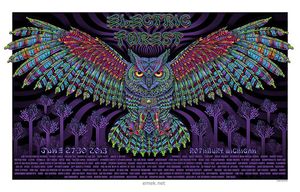 Electric Forest Festival Rothbury 2013