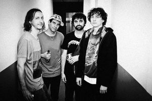 Animal Collective