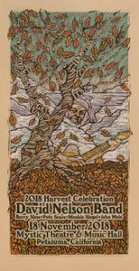 David Nelson Band Petaluma 2018