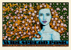 Widespread Panic Washington DC 2019 (Show edition)