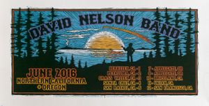 David Nelson Band Tour 2016