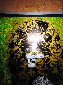 Widespread Panic Myrtle Beach 2010 (Copper Tortoise-shell edition)