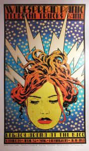 Widespread Panic Birmingham 2016 (Silver edition)