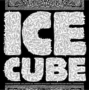Ice Cube Atlanta 2011