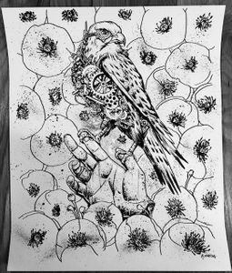 Eddie Vedder Antwerp 2017 (Original Inking)