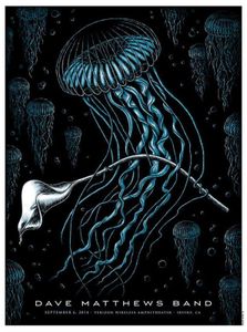 Dave Matthews Band Irvine 2014 (Show edition)