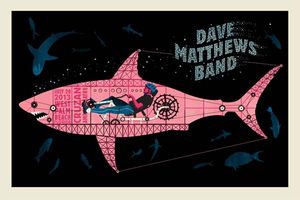 Dave Matthews Band West Palm Beach 2013 (Night 2)