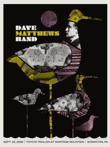 Dave Matthews Band Scranton 2009 (AP edition)