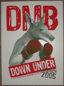 Dave Matthews Band Australian Tour 2005