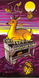 Avett Brothers Morrison 2019 (VIP) (Night 2)