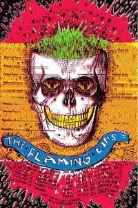 Flaming Lips Tour 1994 (Merch edition)