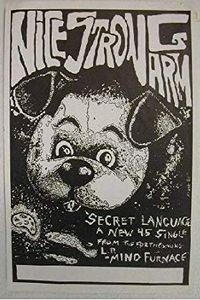 Nice Strong Arm Tour 1988