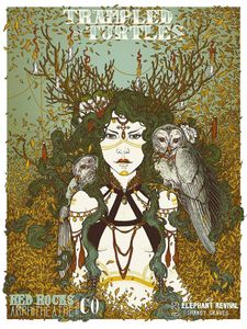 Trampled By Turtles Morrison 2015 (Show Edition)