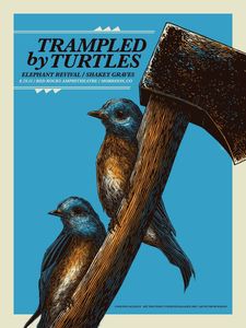 Trampled By Turtles Morrison 2015