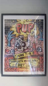 PUP Toronto 2019
