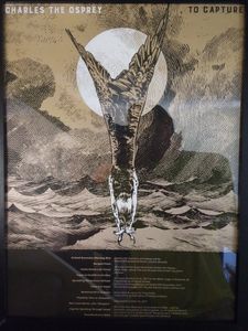 Charles The Osprey- To Capture