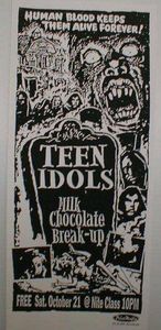 Teen Idols Nashville 2000