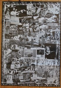 Dead Kennedys - Fresh Fruit for Rotting Vegetables