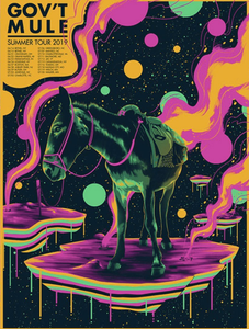 Gov't Mule Summer Tour 2019