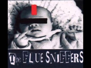The Flue Sniffers