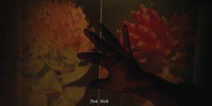 Flesh World - Flesh World