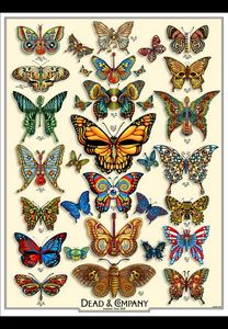 Dead and Company Summer Tour 2019 (Artist edition)