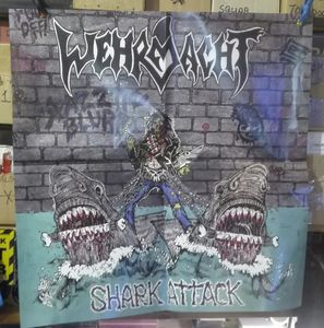 shark attack