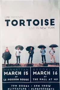 Tortoise New York City & Brooklyn 2017