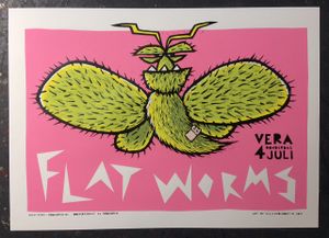 Flat Worms - Groningen, 2019