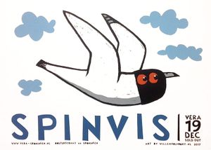 Spinvis - Groningen, 2017