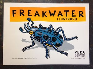 Freakwater - Groningen, 2016