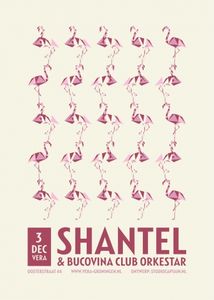 Shantel & Bucovina Club Orkestar - Groningen, 2015