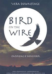 Bird on the Wire - Groningen, 2014