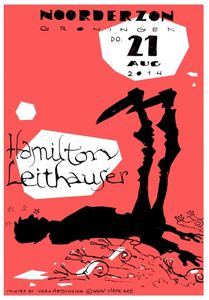 Noorderzon 2014: Hamilton Leithauser - Groningen, 2014