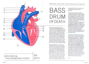 Bass Drum of Death - Groningen, 2011