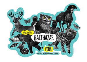 Balthazar - Groningen, 2010