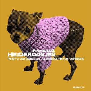 Heideroosjes - Groningen, 2009